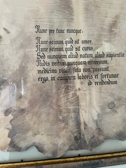 Obraz 83x57 latinský citát - 5