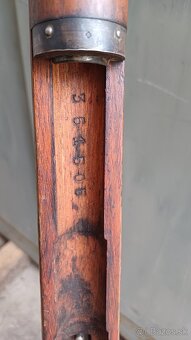 Schmidt-Rubin M1889 - 5