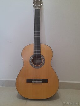 Gitara - 5