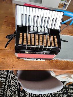 Predam Akordeon Delicia JUNIOR 72b XIV - 5