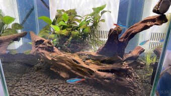 Komplet menšie akvárium 9L - 5