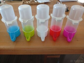 predám kanariky - 5