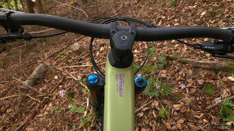Canyon Torque 27.5 CF 9 (Big Bamboo) - 5