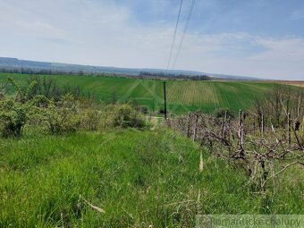 Rozľahlý pozemok na samote vhodný na stavbu blízko vinársk - 5