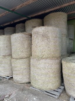 CLAAS ROLLANT 255 - 5