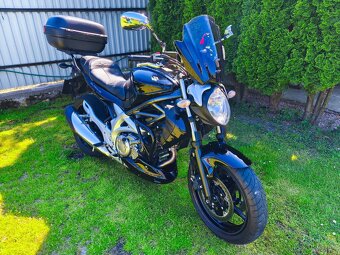 Suzuki SFV650 Gladius - 5