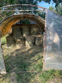 Seno tohtoročné - 5