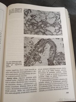 Predám knihu Vnútorné lekárstvo 3 - 5