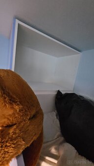 Vstavaná skriňa - 5