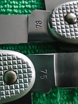 Wenger Delémont Alox - 5