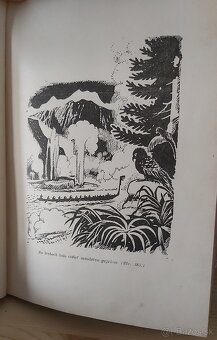 Jules Verne - Deti kapitána Granta / B. Buocik 1948 - 5