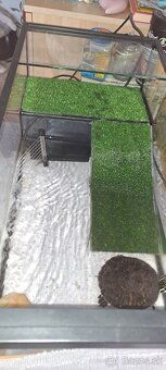 Lampa zdarma - KORYTNAČKA + AKVÁRIUM s príslušenstvom - 5