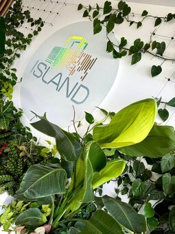 Krásny priestor s veľkou terasou - 5