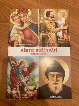 Chlapec,tory sa hral s Bohom,Carlo Acutis,Don Bosco - 5