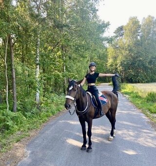 Milionová kobylka - 5