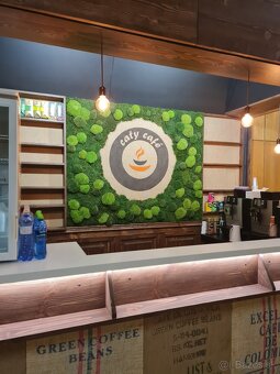 Machové steny a logá na mieru - 5