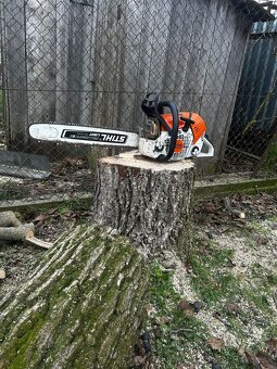 Pílenie stromov - 5