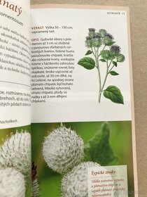 Izbové rastliny, Herbár, Atlas liečivých rastlín a lesných - 5