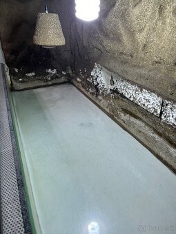 Terarium - 5