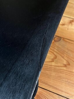 Rome Service Dog 153 - 5