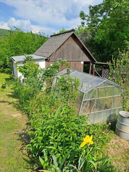 ZÁHRADA S CHATKOU A PIVNICOU pri Piešťanoch - 5