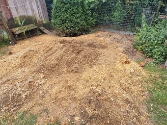 Frézovanie pňov, spiľovanie stromov - 5