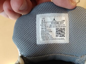 botasky Air Jordan Dub Zero  42 - 5