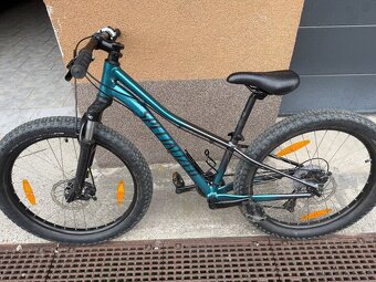 Detský bicykel Specialized - Modrý a Ružový - 5