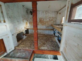 Sliepky a kurín - 5