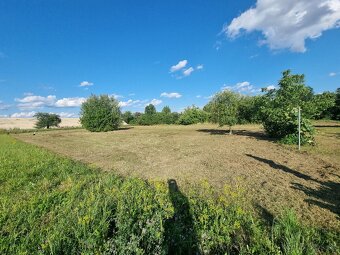 Mulčovanie, kosenie , čistenie pozemkov, štiepkovanie - 5