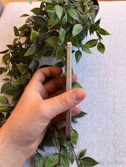 iPhone 15 Pro Max 256GB Natural Titanium - 5