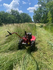Údržba záhrad, kosenie, pílenie - 5