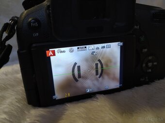 Panasonic Lumix DMC FZ1000 - 5