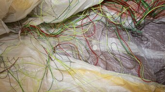 Paragliding BGD Base Lite M Thermal 2019 - 5