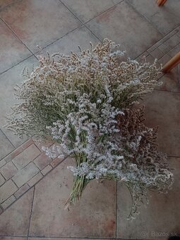 Sušena statica biela na vence 1kytica/8€ - 5