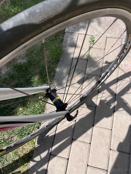 cestný bicykel Kellys IRC 3.9. - 5