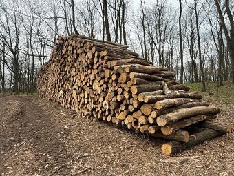 Palivové drevo Doprava ZADARMO do 20km - 5