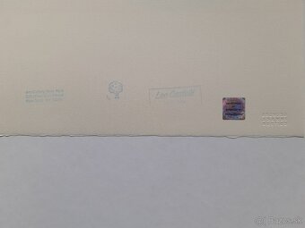 Andy Warhol – Converse - 5