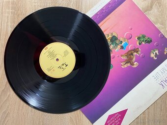 Vinyl LP platne na predaj - 5