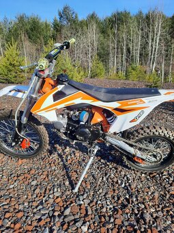 Predam pitbike 125 - 5