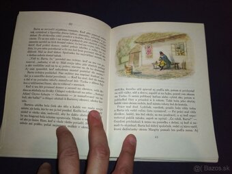 Chyžna pod horami - 5