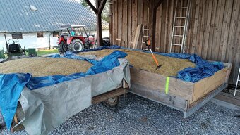 Lúčne seno , Ovos - 5