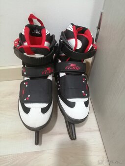 CRANE hviezdičkové - 5