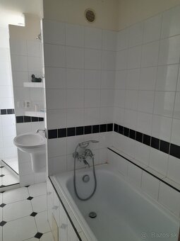 Dam do prenajmu 1 izbovy byt - 5