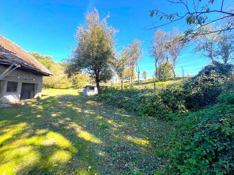 PREDAJ DOM s lesom 7714 m2 Bánovce nad Bebr. - 5