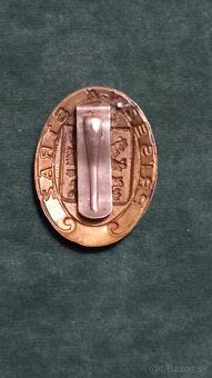 Odznak přísežná stráž - 5