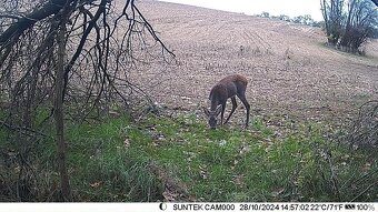 Fotopasca - 5