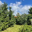 Zálesie - priestranný 5-izb.RD - ticho, zeleň - 5