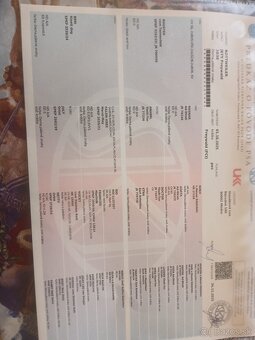 Rottweiler, rotvajler, rtw - 5