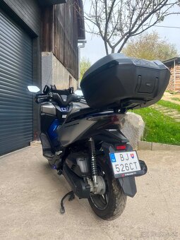 Predam honda forza 125 - 5